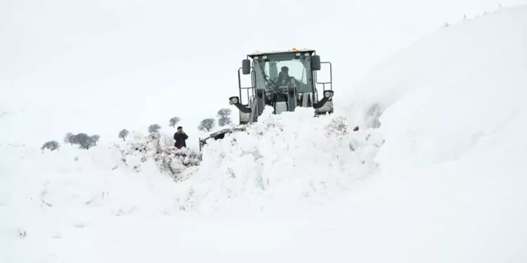 Muş'ta 4 metre karla mücadele