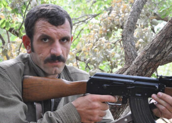 PKK'nın sözde sorumlusu Murat Ateş, etkisiz hale getirildi