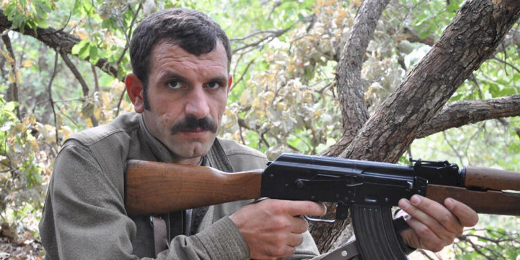 PKK'nın sözde sorumlusu Murat Ateş, etkisiz hale getirildi