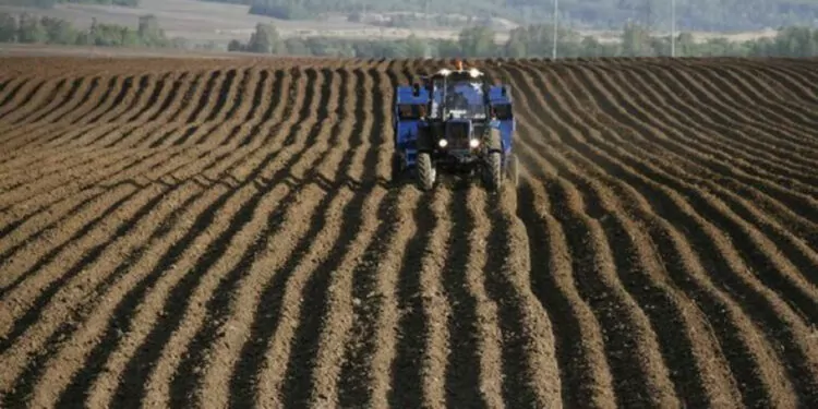 Tüi̇k: ocakta tarım üretici fiyatları arttı
