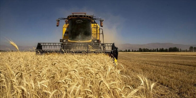TÜİK: Tarımsal girdi fiyatları aralık ayında arttı