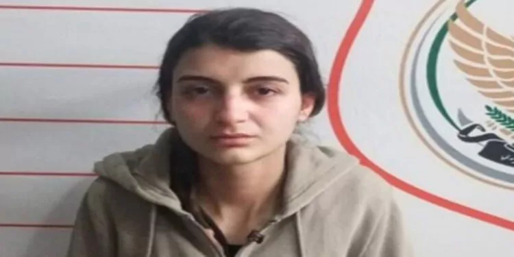 Türkiye'ye sızmaya çalışan pkk'lı kadın yakalandı