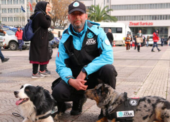 UMKE'nın arama kurtarma köpekleri Buddy ve Shollie