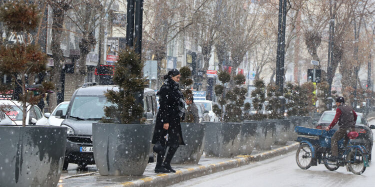 Van'da 87 yerleşim yerinin yolu kardan kapandı