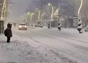 Van'ın 3 ilçesinde okullara kar tatili