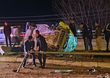 Yola çıkan köpek kazaya neden oldu: 5 yaralı