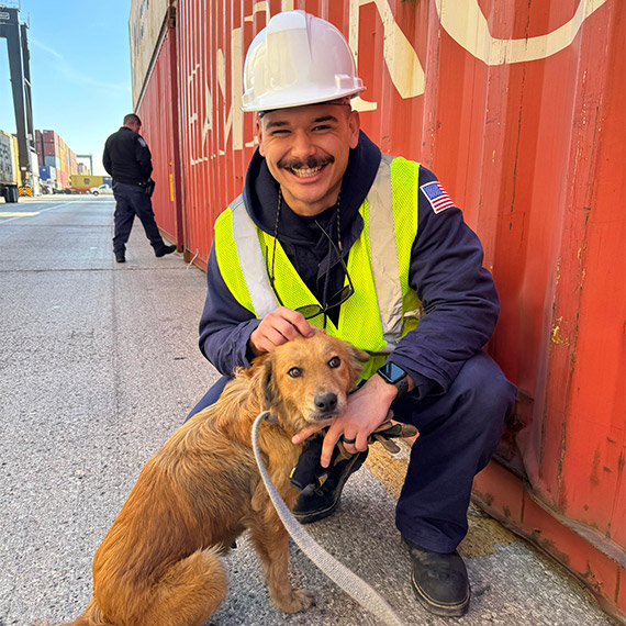 Sahil güvenlik müfettişleri konteyner içinde köpek buldu