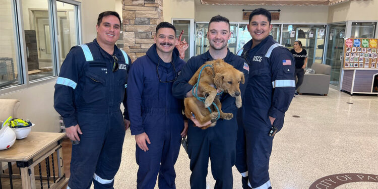 Sahil güvenlik müfettişleri konteyner içinde köpek buldu