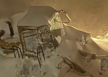 Artvin'de kamyonet ve iş makinesi üzerine çığ düştü