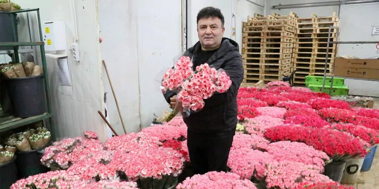 Avrupa'ya 70 milyon dal kesme çiçek ihracatı yapıldı