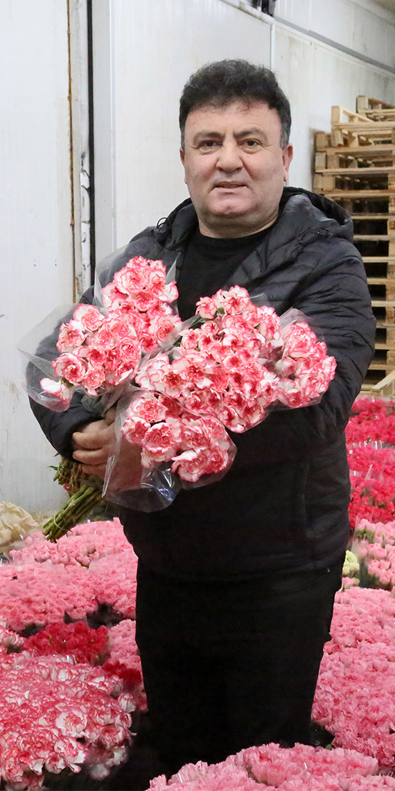 Orta Anadolu Süs Bitkileri ve Mamulleri İhracatçıları Birliği (OAİB) Başkanı İsmail Yılmaz, 14 Şubat Sevgililer Günü için 30'a yakın Avrupa ülkesine toplamda 7 milyon dolarlık, ağırlıklı kırmızı ve koyu pembe renkte karanfil olmak üzere 70 milyon dal kesme çiçek ihracatı yapıldığını söyledi.