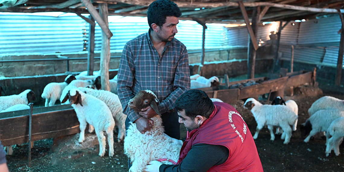 Tarım ve Orman Bakanı İbrahim Yumaklı, "Tarımsal üretimde ülkenin can damarı olan bölgede depremzedelere 14 milyar TL tarımsal destek ödemesi yapıldı" dedi.