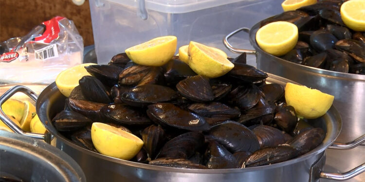 30 farklı midye numunesinde mikroplastiğe rastlandı