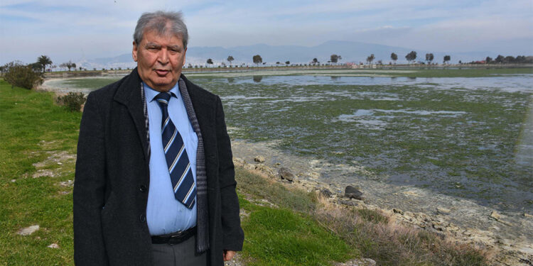 Çakalburnu Lagünü deniz marulları ile kaplandı; kuş türleri tehlikede