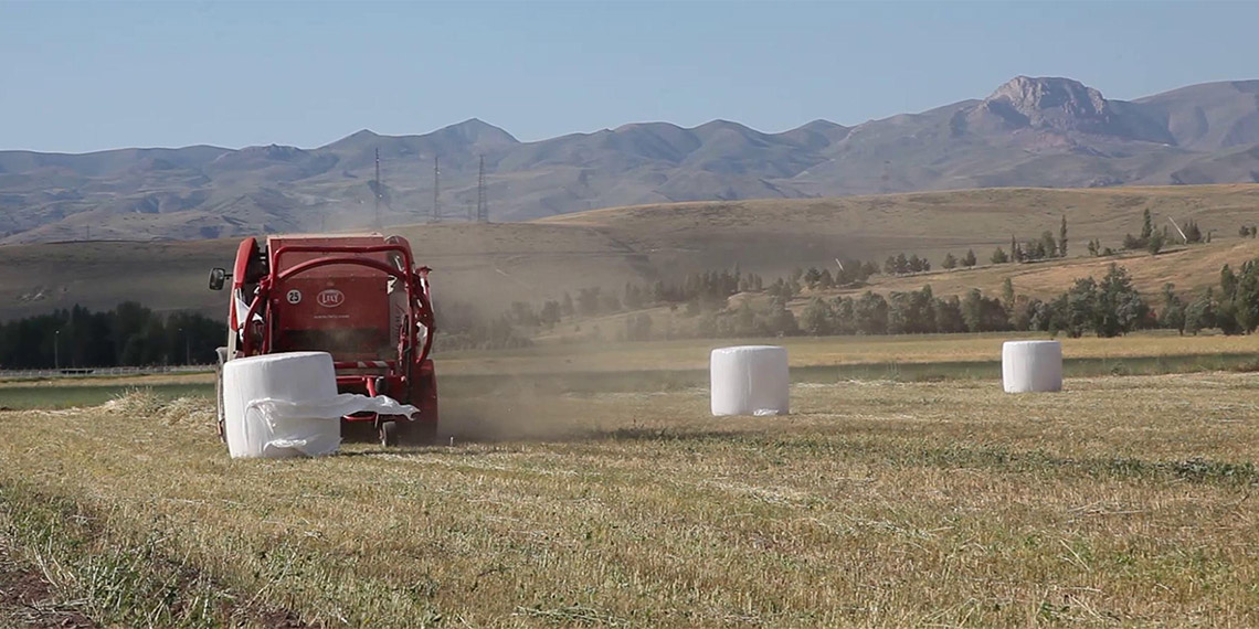 DAP, gençleri tarım ve hayvancılığa döndürmeyi hedefliyor