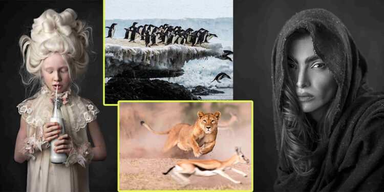 Dünyanın ilk NFT fotoğraf yarışması İstanbul’da düzenlendi