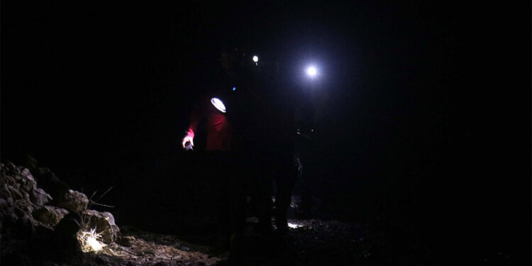 Gaziantep’te Emniyet Müdürlüğü’ne ait polis helikopteri kaza kırıma uğradı. Düşen helikopterde bulunan Pilot Emniyet Amiri Cemil Gülen ve Sözleşmeli Pilot Levent Öztürk şehit olurken, bir teknisyen yaralandı.