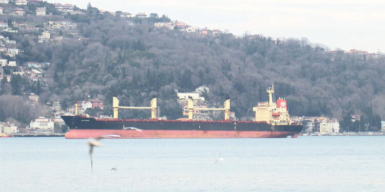 Kılavuz kaptan denize düşerek hayatını kaybetti