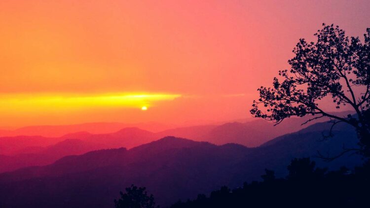 Sevgiyle iyileşelim