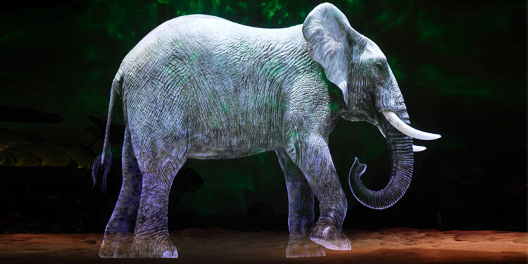 ‘Ankara Dijital Hayvanat Bahçesi’ 3 Şubat'ta açılıyor