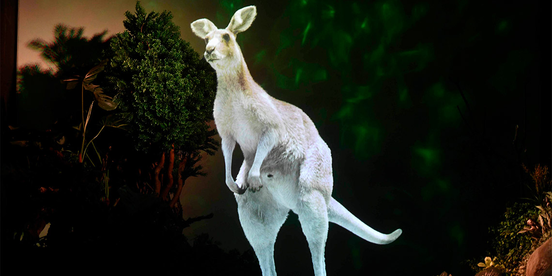 Ankara Büyükşehir Belediyesi tarafından hazırlanan Ankara Dijital Hayvanat Bahçesi, 3 Şubat 2024 Cumartesi günü saat 10.00’dan itibaren ziyarete açılıyor.