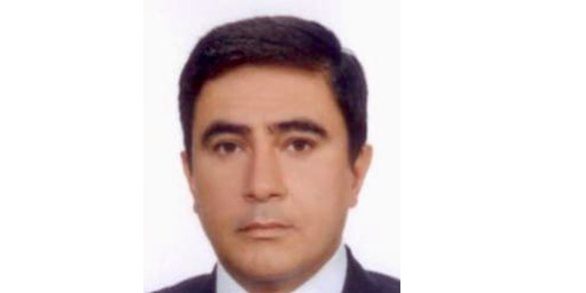 Kılavuz kaptan denize düşerek hayatını kaybetti