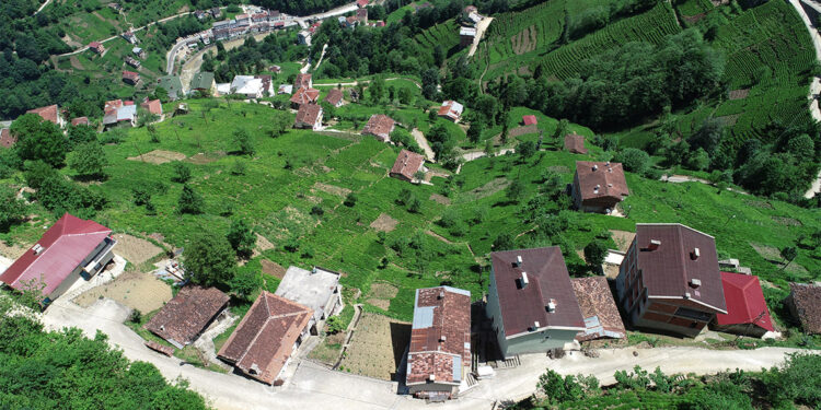 'Vahşi boşaltma' heyelanları tetikliyor