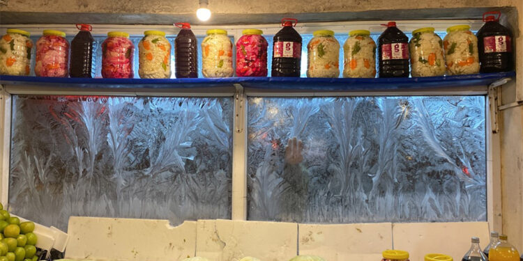 Kars'ta soğuk hava; camlar buz tuttu, kapı kilitleri dondu