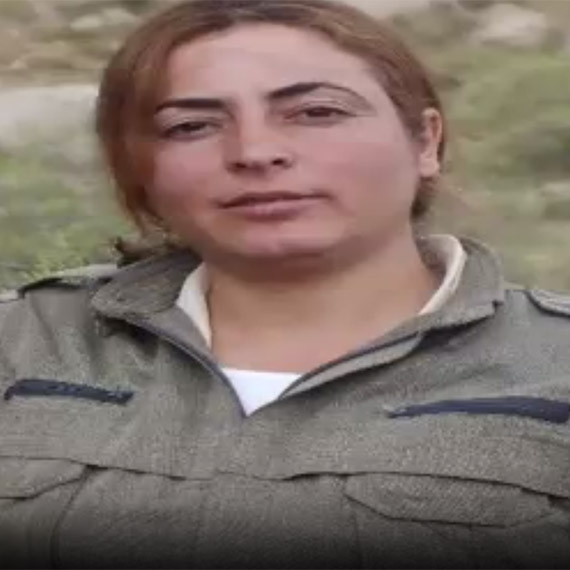 MİT'ten Kamışlı'da nokta operasyon; Beytüşşebap şehitlerinin faili nokta operasyonla etkisiz
