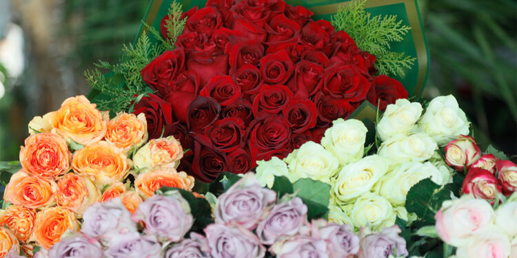 Kırmızı gülün fiyatı arttı; Demeti 300-400 TL