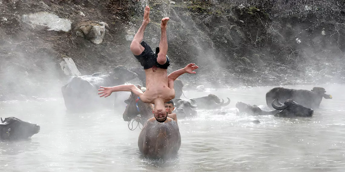 Bitlis'in güroymak ilçesinin budaklı köyünde yaşayan besiciler, kış aylarında belli aralıklarla temizlenmeleri için manda ve atlarını açık hava kaplıcasına getiriyor.