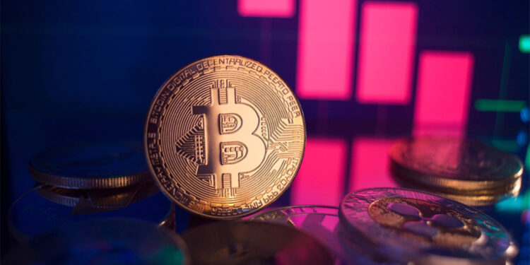 BRC-20 standardı 2024’ün öne çıkan temalarından biri olacak