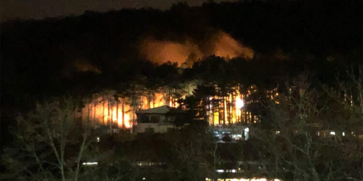 Uludağ eteklerinde çıkan orman yangını söndürüldü