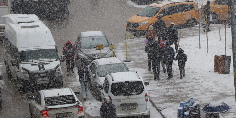 Van'da kar yağışı etkili oldu