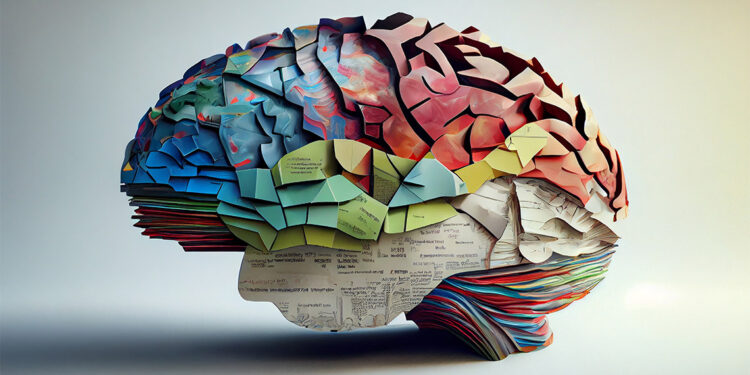 Yaşam boyu öğrenme