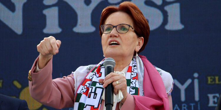 10 bin lira emekli maaşıyla geçinmek mümkün değil