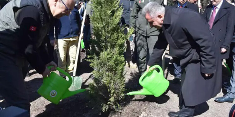 3 bin fidan toprakla buluşturuldu