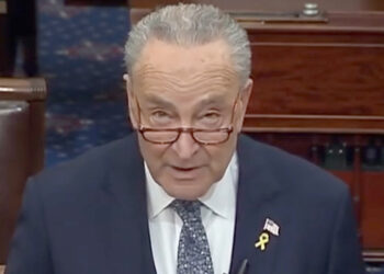 Schumer'den İsrail'e seçim çağrısı