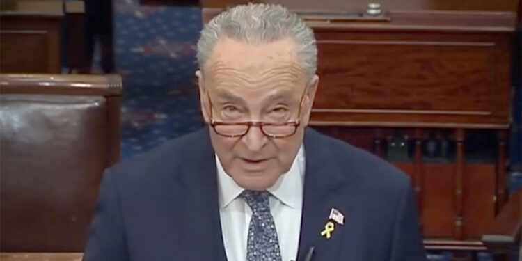 Schumer'den İsrail'e seçim çağrısı