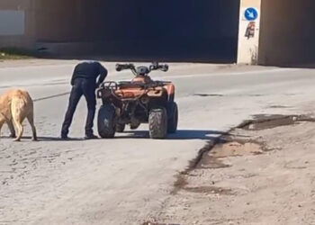 Köpeği ATV'ye bağlayıp sürükledi
