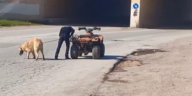 Köpeği ATV'ye bağlayıp sürükledi