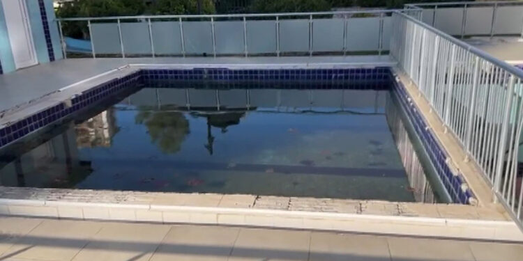 Açık yüzme havuzları sivrisineklere üreme alanı oluşuyor