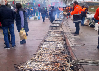 Akçakoca'da Hamsi Festivali düzenlendi