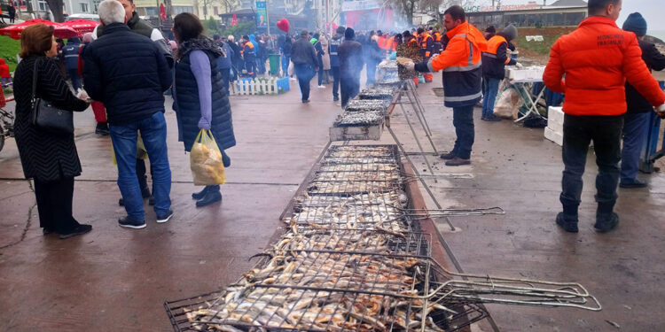 Akçakoca'da Hamsi Festivali düzenlendi