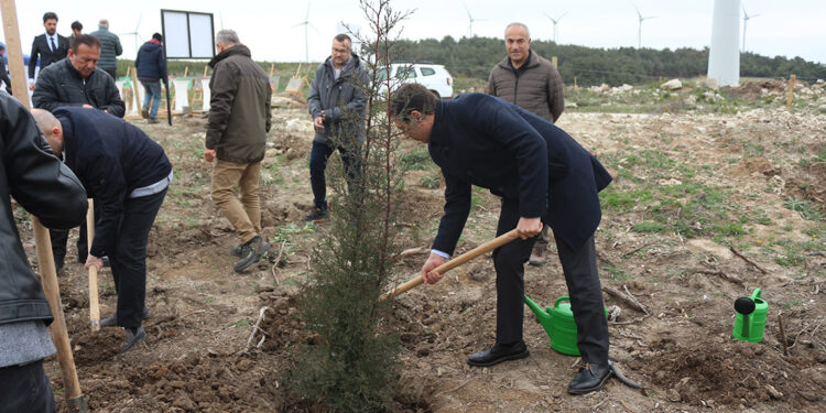 Akfen'den Çanakkale'ye 100 bin ağaçlık hatıra ormanı
