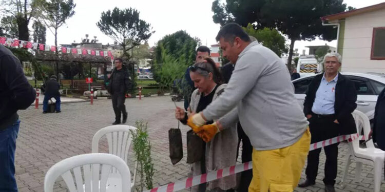 Anamur Orman İşletmesi'nden 20 bin kişiye 63 bin fide