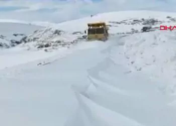 Ardahan'da karla mücadele sürüyor