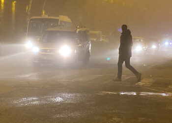 Ardahan'da soğuk hava; ağaçlar kırağı tuttu