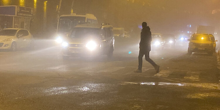 Ardahan'da soğuk hava; ağaçlar kırağı tuttu