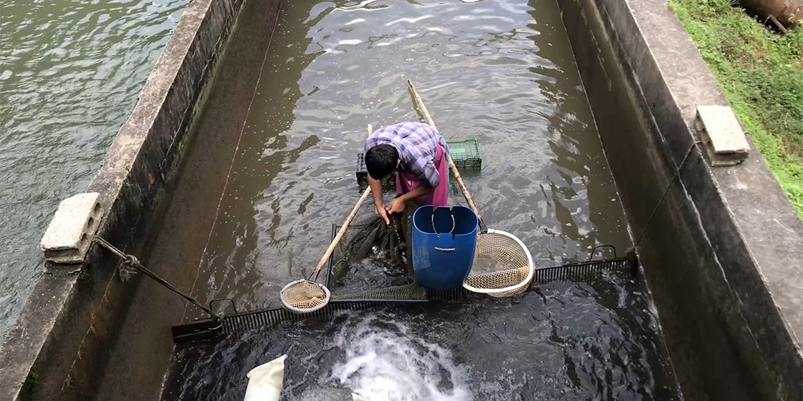 IPARD III Kırsal Kalkınma Programında 785 milyon euro hibe desteği kullandırılacak